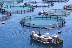 Việt Nam đăng cai diễn đàn quốc tế về nuôi biển xanh và thông minh của châu Á