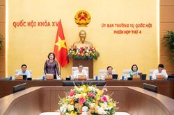 Dự án luật đã đủ điều kiện trình Quốc hội xem xét tại kỳ họp không thường lệ thứ nhất