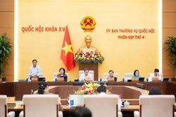 Ủy ban Thường vụ Quốc hội xem x&eacute;t b&aacute;o c&aacute;o c&ocirc;ng t&aacute;c d&acirc;n nguyện th&aacute;ng 6/2026