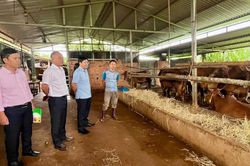 L&acirc;m Đồng n&acirc;ng cao chất lượng t&iacute;n dụng ch&iacute;nh s&aacute;ch