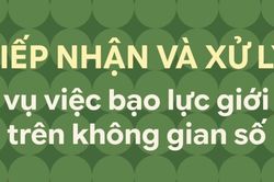 Tiếp nhận và xử lý vụ việc bạo lực giới trên không gian số