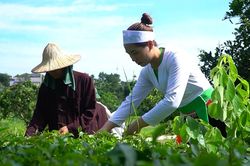 Ý Đảng quyện lòng dân: Sức mạnh từ cơ sở tại Yên Bài