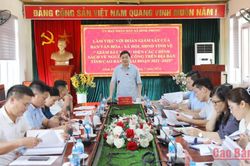 Ban Văn hóa - Xã hội, HĐND tỉnh giám sát việc thực hiện chính sách người có công tại xã Đình Phong