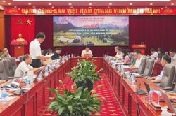 Lấy &yacute; kiến g&oacute;p &yacute; Đề &aacute;n ph&aacute;t triển du lịch giai đoạn 2026 - 2030, tầm nh&igrave;n đến năm 2040