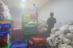 Đột k&iacute;ch cơ sở sơ chế ch&acirc;n g&agrave; ở Đồng Nai, lực lượng chức năng ph&aacute;t hiện sự thật kinh ho&agrave;ng