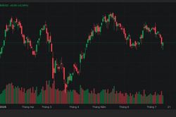 Chứng khoán hôm nay 14/7: VN-Index rút chân ngoạn mục, đóng cửa tăng 6,09 điểm