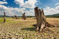 T&agrave; Năng n&acirc;ng cao năng lực cộng đồng trong ph&ograve;ng, chống thi&ecirc;n tai đến năm 2030