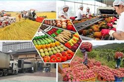 Kiểm soát dư lượng thuốc BVTV, nâng cao sức cạnh tranh nông sản xuất khẩu