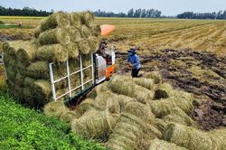 Từ nông nghiệp truyền thống sang nông nghiệp tuần hoàn: Thực trạng, thách thức và giải pháp