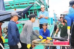 Gia Lai: Siết chặt quản lý những tàu cá không đủ điều kiện, quyết tâm gỡ 'Thẻ vàng' IUU
