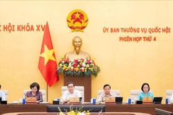 Sửa đổi, bổ sung luật lĩnh vực ngân hàng, tài chính: Ưu tiên nội dung cấp bách