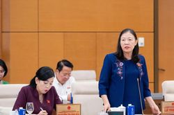 Cử tri lo ngại h&agrave;ng giả, điểm thi To&aacute;n bất thường v&agrave; tai nạn đường thủy