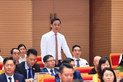 Hà Nội: Đại biểu trăn trở tình trạng 'rau hôm trước phun thuốc, hôm sau đã thu hoạch'