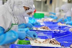 Cơ hội cho thủy sản chinh phục thị trường chất lượng cao