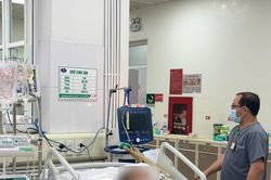 Nỗi lo li&ecirc;n cầu lợn