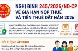 Gia hạn nộp thuế và tiền thuê đất năm 2026 theo Nghị định 245