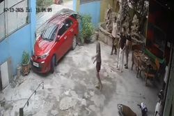 Th&ecirc;m clip vụ t&agrave;i xế &ocirc;t&ocirc; đ&acirc;m loạn xạ ở qu&aacute;n karaoke