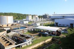 Xây dựng hệ sinh thái Ethanol để phát triển bền vững xăng E10