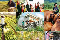 Giao bổ sung dự toán chi ngân sách trung ương, kế hoạch đầu tư công vốn ngân sách trung ương cho 27 địa phương