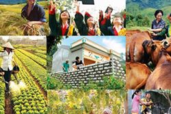 Chỉ đạo, điều hành của Chính phủ, Thủ tướng Chính phủ ngày 15/7/2026 (1)