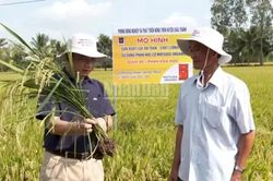 Giúp nông dân yên tâm sản xuất, làm giàu từ nông nghiệp