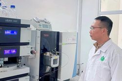Ứng dụng AI đánh giá chất lượng nông sản
