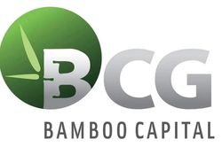 2 cổ phiếu thuộc hệ sinh thái Bamboo Capital bị hủy niêm yết