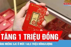 Gi&aacute; v&agrave;ng trong nước bật tăng sau 2 ng&agrave;y giảm mạnh