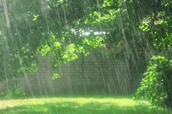 Tản mạn: Cơn mưa mùa Hạ