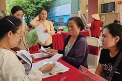 Sở GD&ĐT TPHCM đề nghị xử l&yacute; th&ocirc;ng tin sai lệch về tuyển sinh đầu cấp