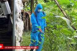 Nguy cơ gia tăng bệnh truyền nhiễm trong m&ugrave;a mưa, nước đọng