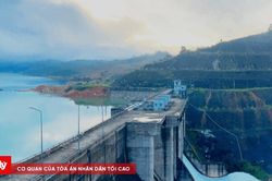Cưỡng chế tài sản của nguyên Chủ tịch công ty thủy điện để thi hành án