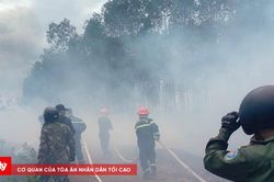 Li&ecirc;n tiếp 4 vụ ch&aacute;y rừng v&agrave; ven rừng trong một ng&agrave;y