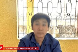 'Nghiện' game, cán bộ địa chính làm giả 14 sổ đỏ, lừa đảo 17 tỷ