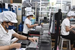 Đề nghị có chính sách đưa chuyên gia Việt Nam đi làm việc ở nước ngoài