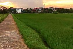 Hơn 1 tháng gửi con về quê, nàng dâu bất ngờ nhận về 'đứa trẻ hoàn toàn khác'