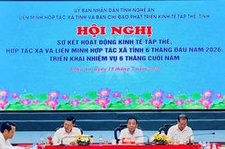 Tiếp tục đổi mới v&agrave; n&acirc;ng cao hiệu quả hoạt động kinh tế tập thể
