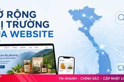 Doanh nghiệp địa phương ứng dụng website chuyên nghiệp để mở rộng kinh doanh online