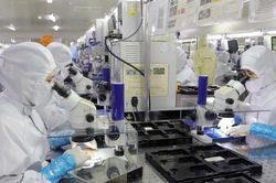 EuroCham: Chỉ số niềm tin kinh doanh tiệm cận mức đỉnh bảy năm