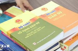 TP Hồ Chí Minh: Hoàn thiện Bộ luật Tố tụng dân sự đáp ứng yêu cầu phát triển mới