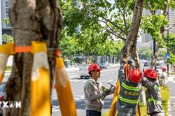Trung Quốc kích hoạt ứng phó khẩn cấp tại Cát Lâm do bão Bavi
