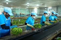 Minh bạch dữ liệu, n&ocirc;ng sản rộng cửa xuất khẩu