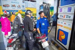 'Lá chắn' an ninh năng lượng quốc gia cần được tạo bởi nhiều lớp