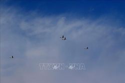 Nga phát triển lá chắn 'mạng nhện' chống UAV