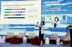 'Không chỉ trông chờ vốn ngoại, cần phát triển mạnh nhà đầu tư tổ chức nội địa'