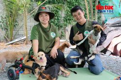 Người phụ nữ dựng 'Nhà Xanh' cưu mang 150 chú chó bị bỏ rơi