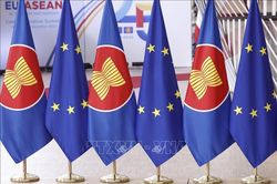 Việt Nam đ&oacute;ng g&oacute;p t&iacute;ch cực v&agrave;o việc th&uacute;c đẩy quan hệ ASEAN - EU