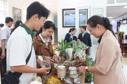 Lâm Đồng đẩy mạnh hỗ trợ khởi nghiệp sáng tạo