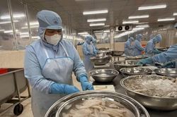 Doanh nghiệp ch&acirc;u &Acirc;u đ&aacute;nh gi&aacute; cao m&ocirc;i trường đầu tư Việt Nam