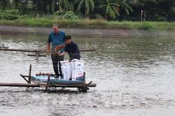 Liên kết chuỗi giá trị, đưa cá rô phi thành ngành hàng xuất khẩu